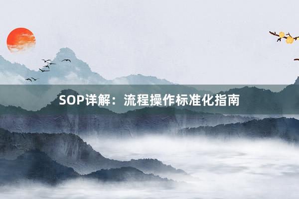 SOP详解：流程操作标准化指南